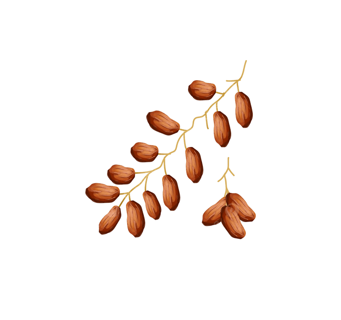 خرید عمده خرما